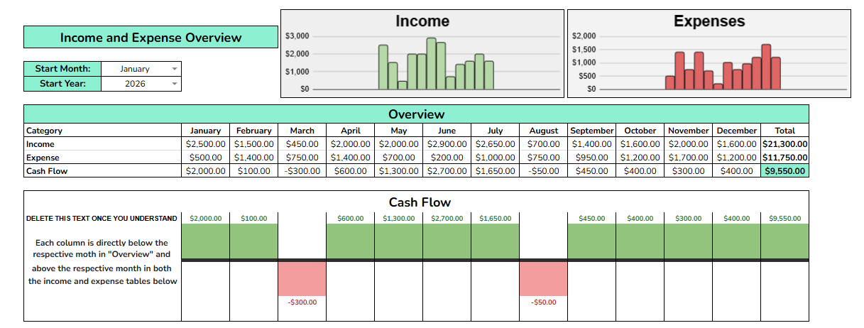 Annual income, expense, and cash flow overview
